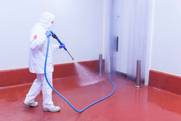 Best Dumpster Area Cleaning  in East Griffin, GA